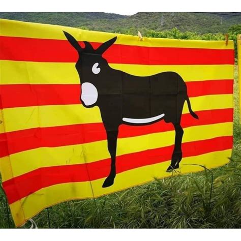 Catalan Flag With The Catalan Donkey