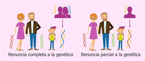 Resumen De La Herencia Genetica Kulturaupice