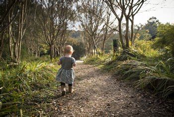 Very shade tolerant and may go dormant in the winter. The Differences Between Dormant & Dead Grass | Home Guides ...
