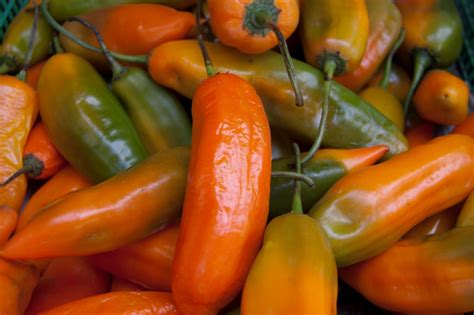 Nutritional Health Benefits Of Aji Chili Peppers Manuel Villacorta