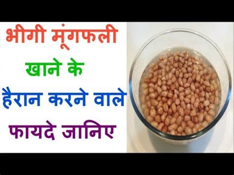 Peanuts are a rich source of proteins, vitamins, minerals and plant compounds. Amazing Health benefits Of Soaked Peanuts - YouTube