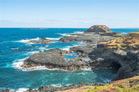 The Scenery View Of The Nobbies Conservation Area Of Phillip Island