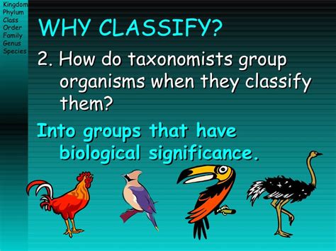 Taxonomy Ppt