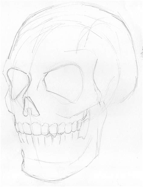 Human Skull Line Drawing At Explore Collection Of