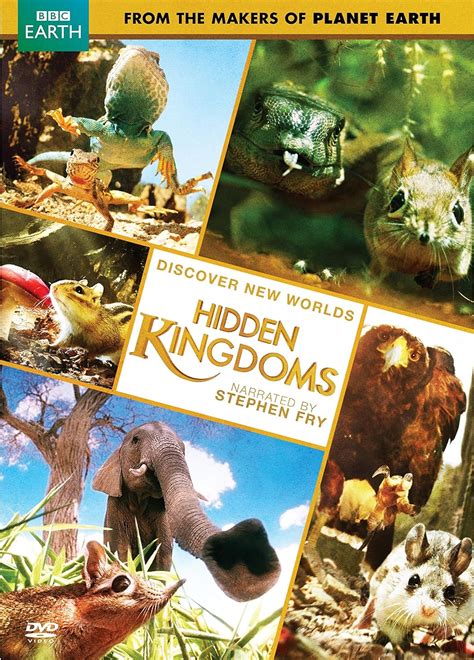 Hidden Kingdom Dvd Region 1 Us Import Ntsc Uk Dvd