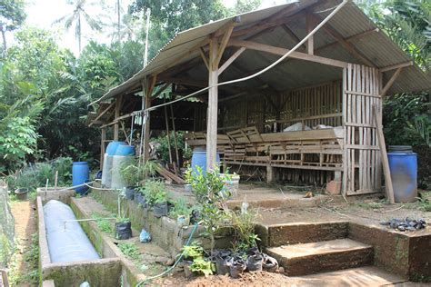 14 gambar desain kandang kambing bambu panggung kandang kambing merupakan salah satu faktor penentu keberhasilan dalam beternak kambing a. Mengolah Kotoran Ternak Menjadi Biogas - Sekolah Desa