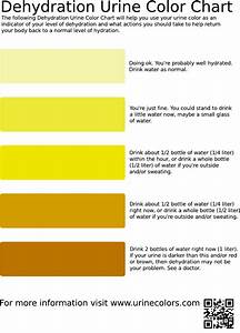 Download Dehydration Urine Color Chart For Free Formtemplate