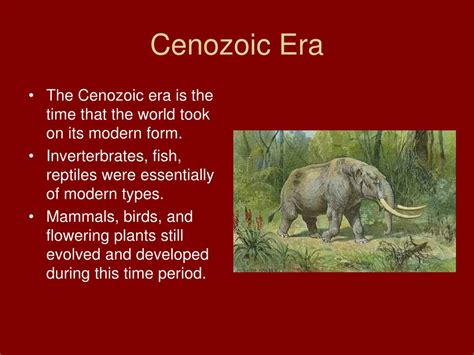 Ppt Cenozoic Era The Age Of Mammals Powerpoint Presentation Id717505