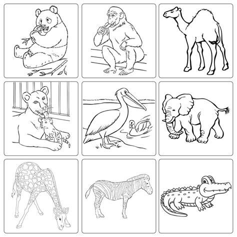 Dear Zoo Colouring Sheets Printables Dear Zoo Dear Zoo Activities