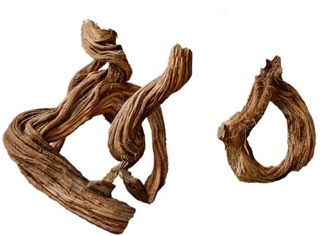 Driftwood Clipart Large Size Png Image Pikpng