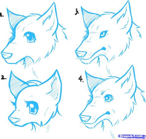 Anime Animals Drawing At Getdrawings Free Download