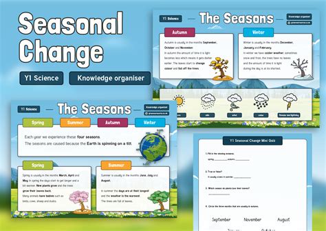 Year 1 Science Seasonal Changes Knowledge Organiser Grammarsaurus