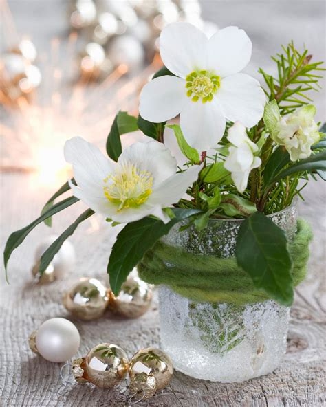 Winterblumen Die Schönsten Bouquets Für Die Kalte Jahreszeit