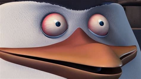 Create Meme Private Penguins Of Madagascar Skipper The Penguin The