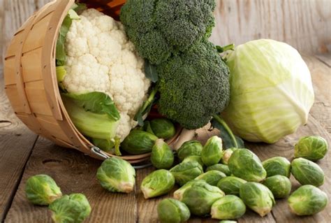 Punnetts Square Broccoli Vs Type 2 Diabetes