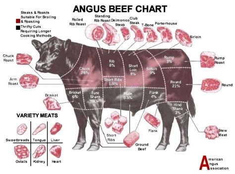 Not all steaks are created equal. The American Cowboy Chronicles: Cattle Diagrams - Retail ...