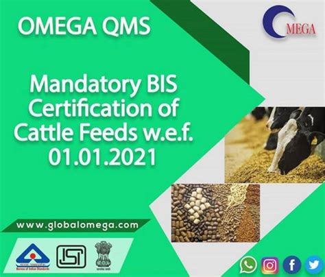 Bis Certification For Cattle Feeds As Per Is 2052 In Rajendra Place