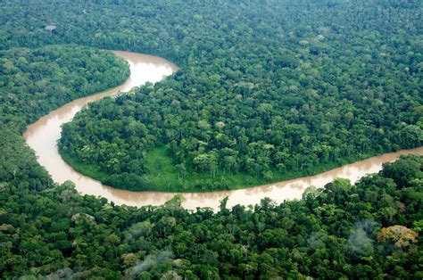 The Amazon River Ecuador River Ecuador Rainforest