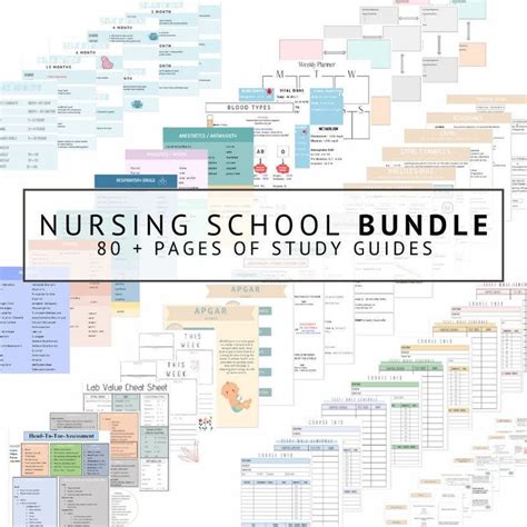 The Complete Nursing School Bundle 2023 Edition Digital Etsy
