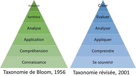Pourquoi Utiliser La Version Révisée De La Taxonomie De Bloom