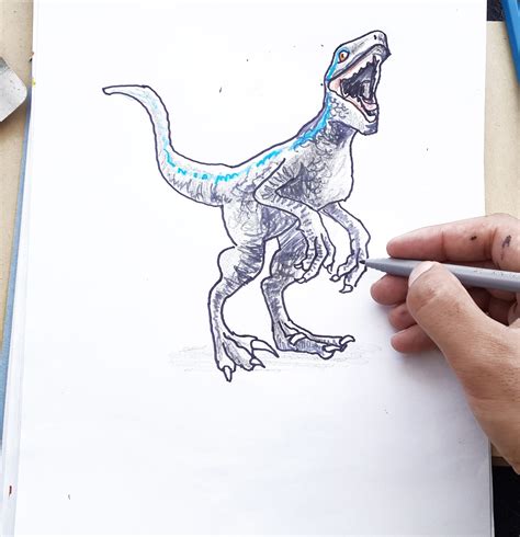 How To Draw Blue The Velociraptor Jurassic World Drawing Tutorial Images And Photos Finder