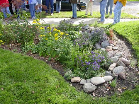 Rain Gardens Offer Option For Problem Areas Of Yard Gardening In The