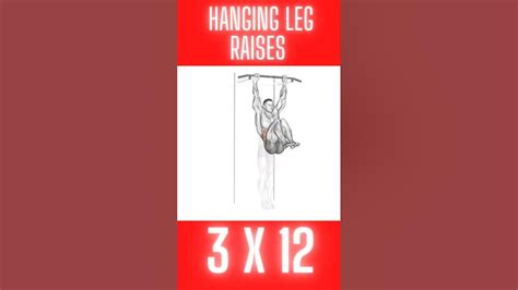 hanging leg raises ab workout youtube