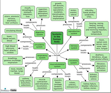 Asthma Concept Map Asthma Lung Disease