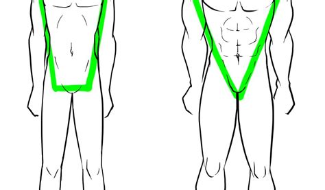 Male Body Proportions Drawing At Getdrawings Free Download