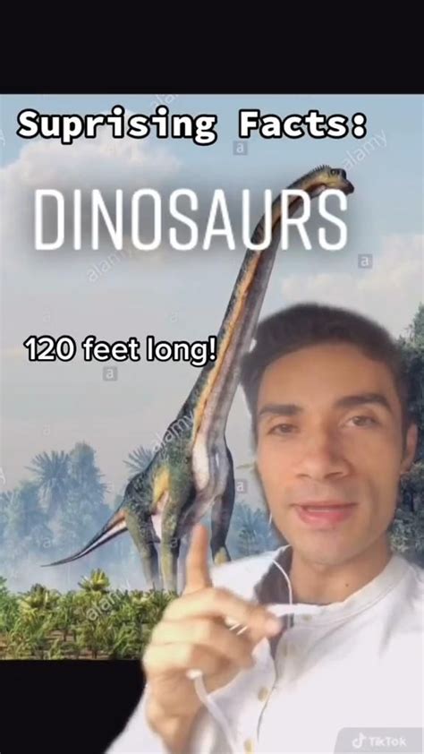 Surprising Dinosaur Facts Did You Know The Largest Dinosaur