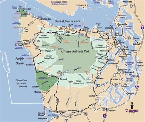 Reconnected And Changed By The Olympic Peninsula Risk Blossoming