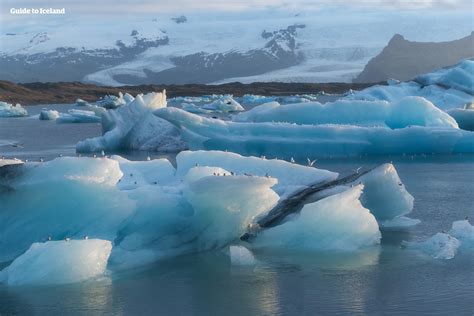 Fjallsárlón Iceberg Lagoon Guide To Iceland