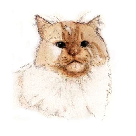 Sketsa Gambar Hewan Kucing Pulp