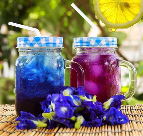 Butterfly pea flower tea comes from asian blue pea flower, also known as the pigeonwings (clitoria ternatea). Blue Butterfly Pea Flowers (Clitoria Ternatea) - Majestic ...