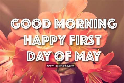 Happy First Day Of May Quotes Shortquotescc