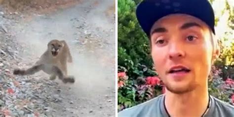 Man Survives After Being Chased By Wild Cougar For 6 Minutes He