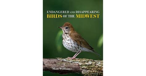 Endangered And Disappearing Birds Of The Midwest By Matt Williams