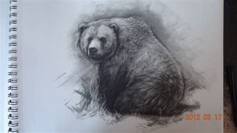 Grizzly Bear Pencil Drawing At Getdrawings Free Download