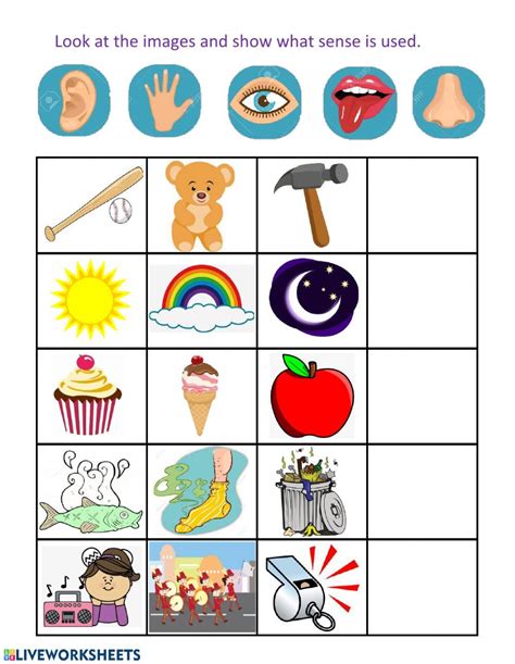 Pract Nueva 2 Five Senses Interactive Worksheet Senses Preschool