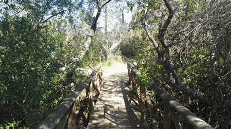 Hiking And Picnics At The Helderberg Nature Reserve In Somerset West