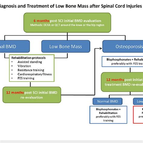 Suggested Diagnosis And Treatment Approach Algorithm For Low Bone Mass