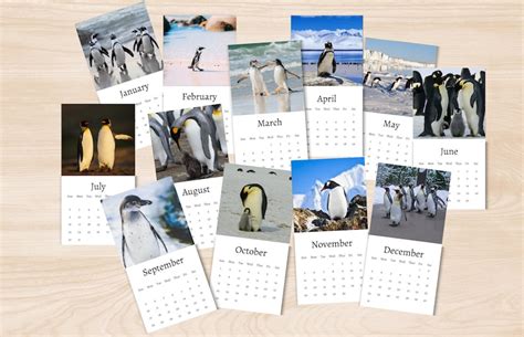Penguin Calendar 2024 Mini Desk Calendar Penguin Calendar Etsy