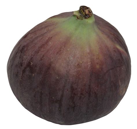 Onion PNG Image - PurePNG | Free transparent CC0 PNG Image Library