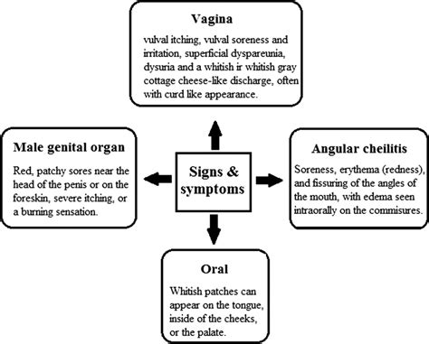 Vaginal Candidiasis Symptoms Vlr Eng Br