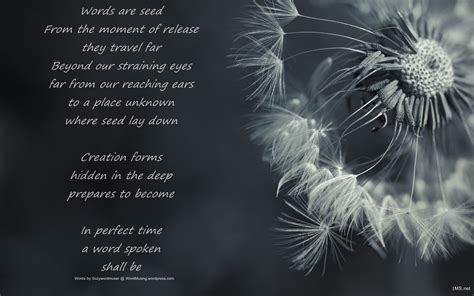 Poem Wallpaper 52 Images