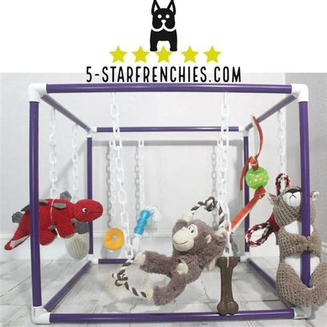 Puppy Play Gym Medium Large Breed Etsy Puppy Play Puppies Pet Life