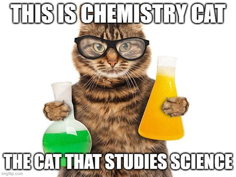 Chemistry Cat The Science Kitty Imgflip