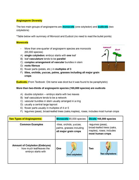 Final Lec 22 Plant Growth Angiosperm Diversity The Two Main Groups
