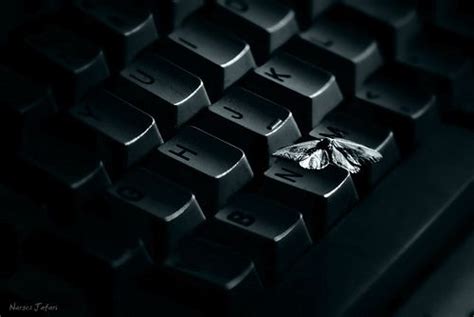 Butterfly On Keyboard Keyboard Computer Keyboard Butterfly
