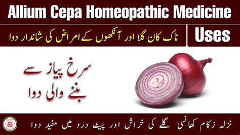 Allium Cepa Homeopathic Medicine Uses Youtube